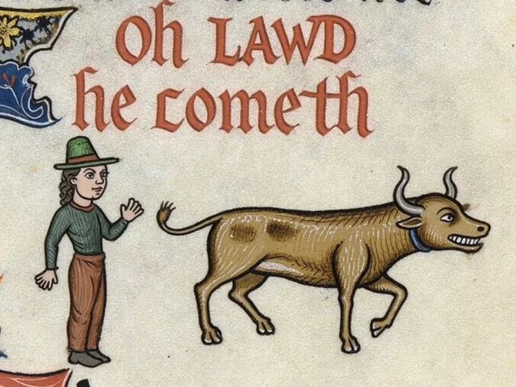 Oh lawd he cometh — a bull approacheth